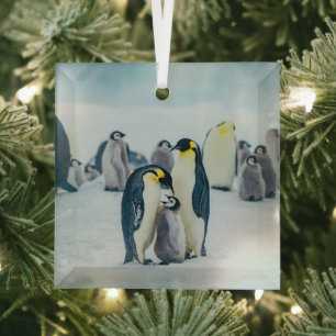 Niedliche Kleintiere Fütternd Baby Pinguin Ornament Aus Glas