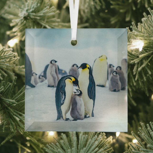 Niedliche Kleintiere | Fütternd Baby Pinguin Ornament Aus Glas (Insitu)