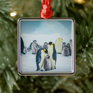 Niedliche Kleintiere Fütternd Baby Pinguin Ornament Aus Metall