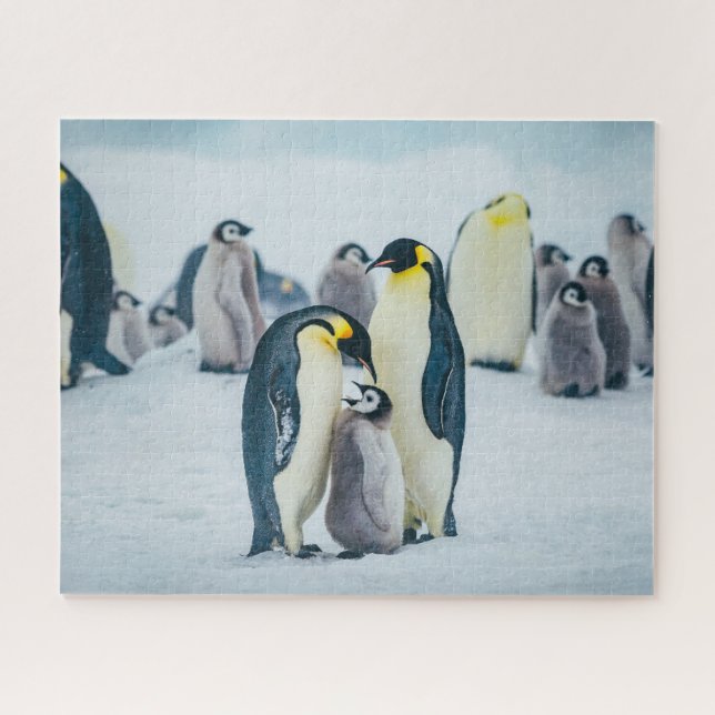 Niedliche Kleintiere | Fütternd Baby Pinguin Puzzle (Horizontal)