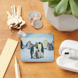Niedliche Kleintiere Fütternd Baby Pinguin Schlüsselanhänger