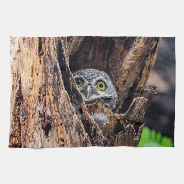 Niedliche Kleintiere | Gepunktete Owlet Geschirrtuch (Horizontal)