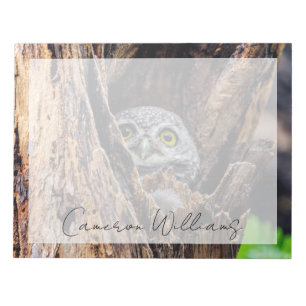 Niedliche Kleintiere Gepunktete Owlet Notizblock