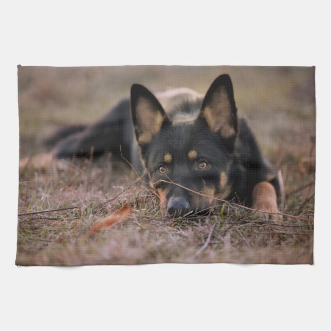 Niedliche Kleintiere | German Shepherd Puppy Geschirrtuch (Horizontal)
