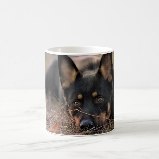 Niedliche Kleintiere | German Shepherd Puppy Kaffeetasse (Mittel)