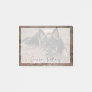 Niedliche Kleintiere German Shepherd Puppy Post-it Klebezettel