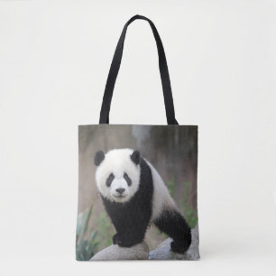 Niedliche Kleintiere Giant Panda Baby