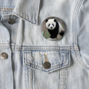Niedliche Kleintiere Giant Panda Baby Button