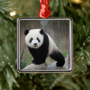 Niedliche Kleintiere Giant Panda Baby Ornament Aus Metall