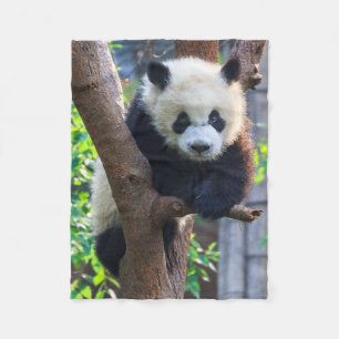 Niedliche Kleintiere   Giant Panda Cub Fleecedecke