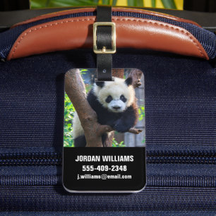 Niedliche Kleintiere   Giant Panda Cub Gepäckanhänger