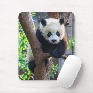 Niedliche Kleintiere   Giant Panda Cub Mousepad