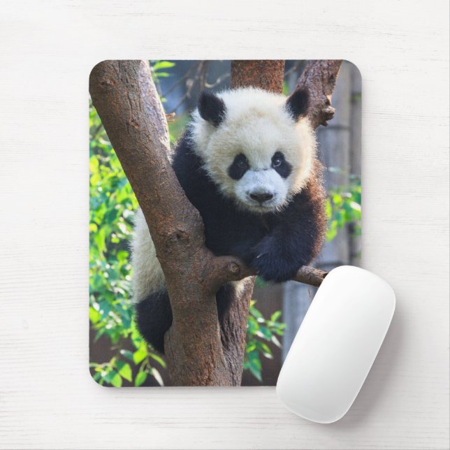 Niedliche Kleintiere | Giant Panda Cub Mousepad (Mit Mouse)