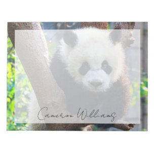 Niedliche Kleintiere   Giant Panda Cub Notizblock