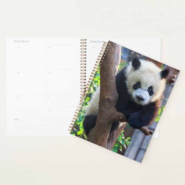 Niedliche Kleintiere | Giant Panda Cub Planer (Anzeige)