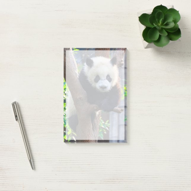 Niedliche Kleintiere | Giant Panda Cub Post-it Klebezettel (Büro)