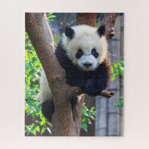 Niedliche Kleintiere   Giant Panda Cub Puzzle