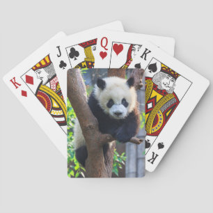 Niedliche Kleintiere   Giant Panda Cub Spielkarten