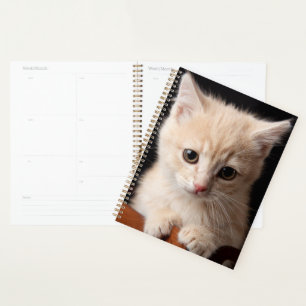 Niedliche Kleintiere Ginger Kitten Planer
