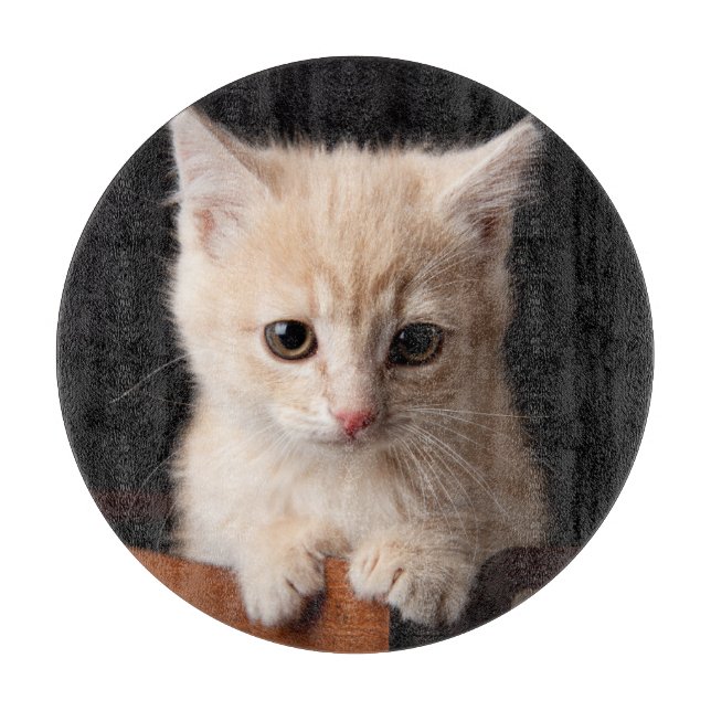Niedliche Kleintiere | Ginger Kitten Schneidebrett (Vorderseite)