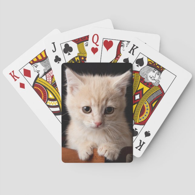 Niedliche Kleintiere | Ginger Kitten Spielkarten (Rückseite)