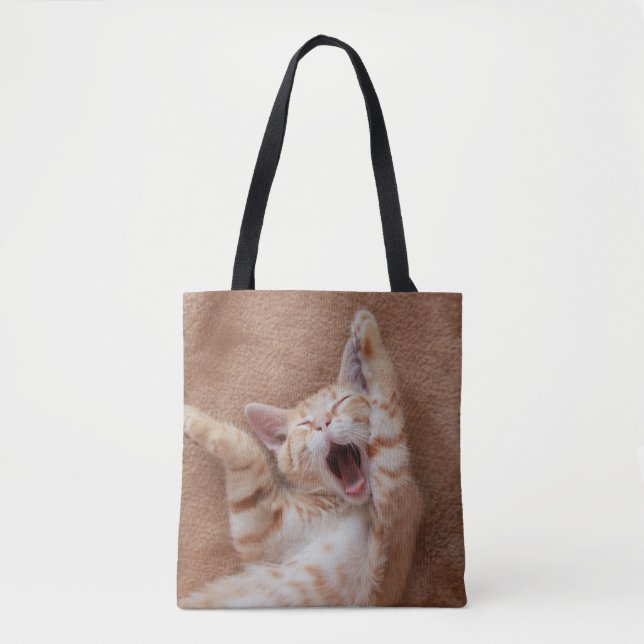 Niedliche Kleintiere | Ginger Kitten Yawning (Vorderseite)