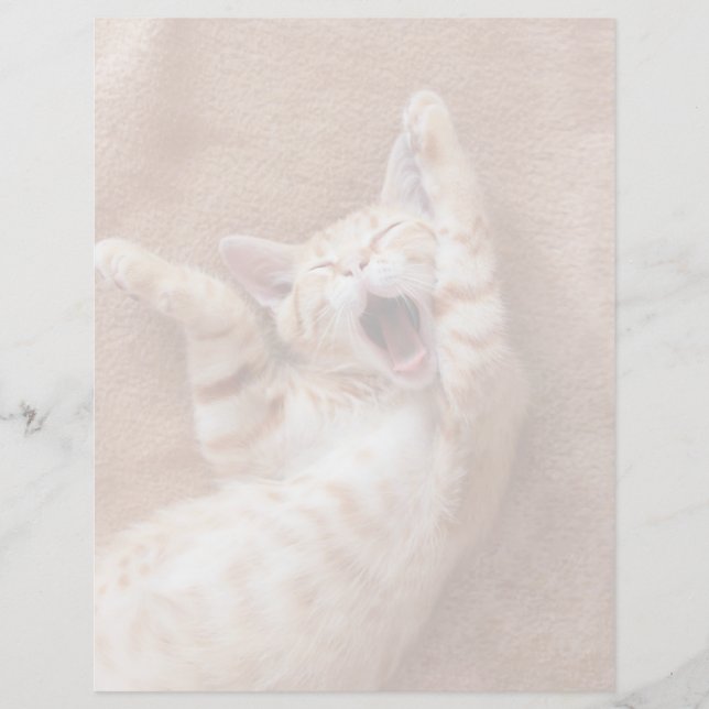 Niedliche Kleintiere | Ginger Kitten Yawning (Vorderseite)