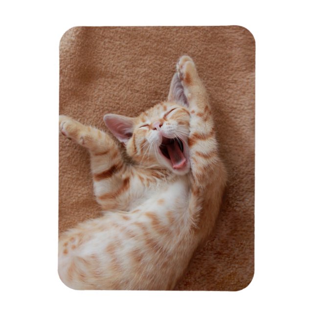 Niedliche Kleintiere | Ginger Kitten Yawning Magnet (Vertikal)