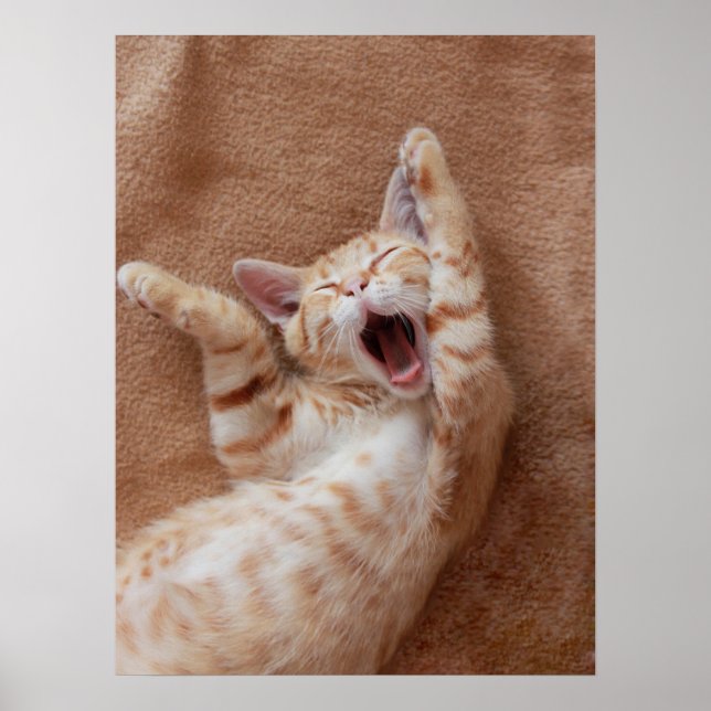 Niedliche Kleintiere | Ginger Kitten Yawning Poster (Vorne)
