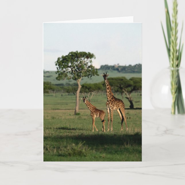 Niedliche Kleintiere | Giraffe Calf & Mama Karte (Vorderseite)