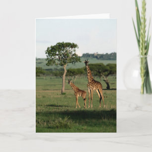 Niedliche Kleintiere   Giraffe Calf & Mama Karte