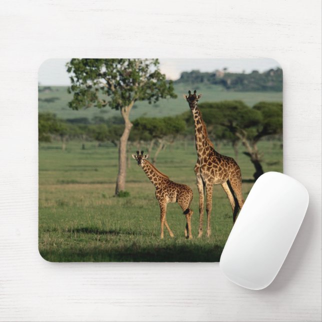 Niedliche Kleintiere | Giraffe Calf & Mama Mousepad (Mit Mouse)