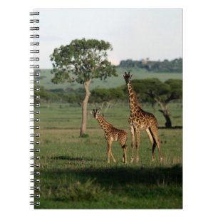 Niedliche Kleintiere Giraffe Calf & Mama Notizblock