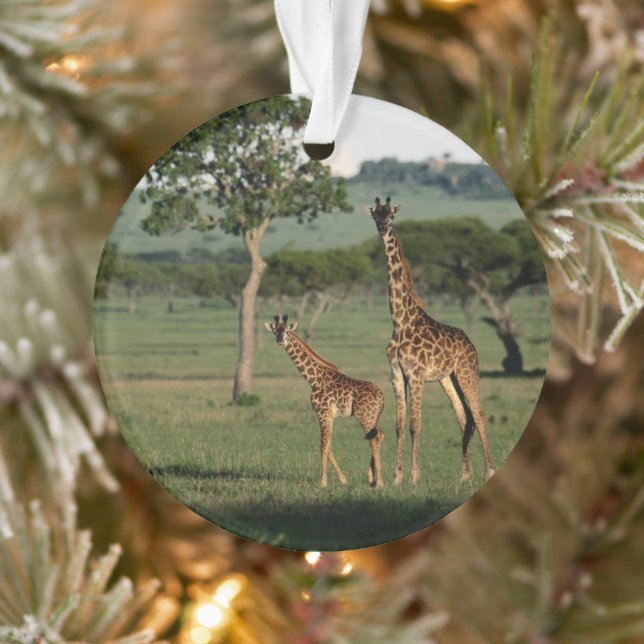 Niedliche Kleintiere | Giraffe Calf & Mama Ornament (Baum)
