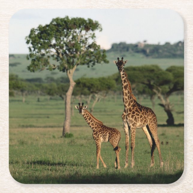 Niedliche Kleintiere | Giraffe Calf & Mama Rechteckiger Pappuntersetzer (Vorderseite)