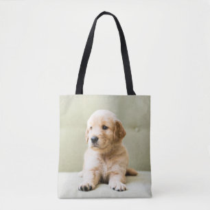 Niedliche Kleintiere Golden Retriever Puppy