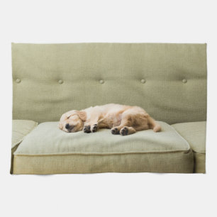 Niedliche Kleintiere   Golden Retriever Puppy 2 Geschirrtuch