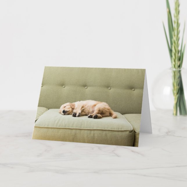 Niedliche Kleintiere | Golden Retriever Puppy 2 Karte (Vorderseite)