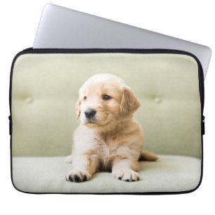 Niedliche Kleintiere   Golden Retriever Puppy Laptopschutzhülle