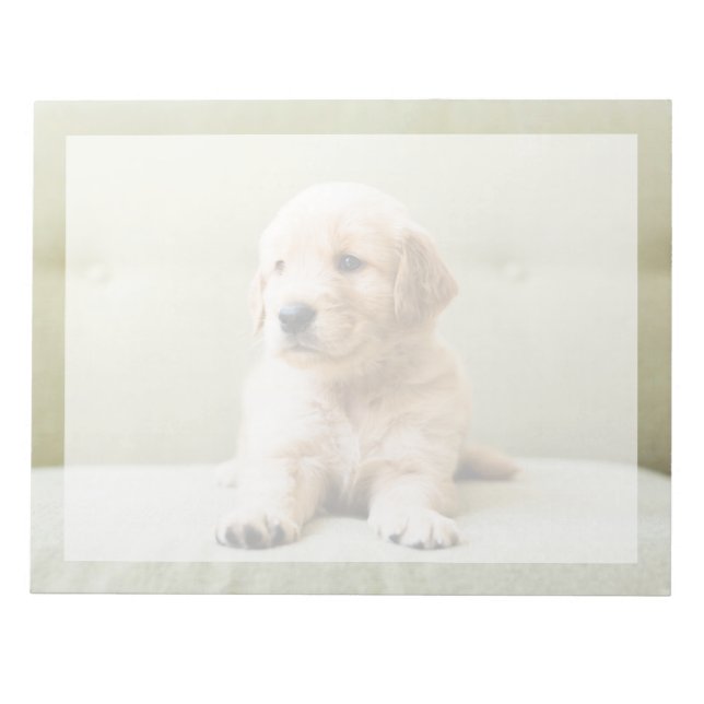 Niedliche Kleintiere | Golden Retriever Puppy Notizblock (Vorderseite)