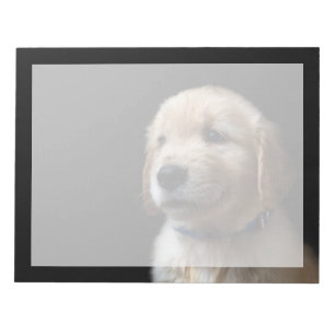 Niedliche Kleintiere   Golden Retriever Puppy Notizblock