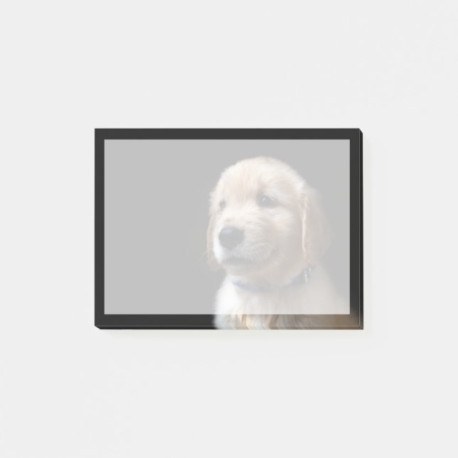 Niedliche Kleintiere | Golden Retriever Puppy Post-it Klebezettel (Vorderseite)