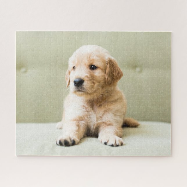Niedliche Kleintiere | Golden Retriever Puppy Puzzle (Horizontal)