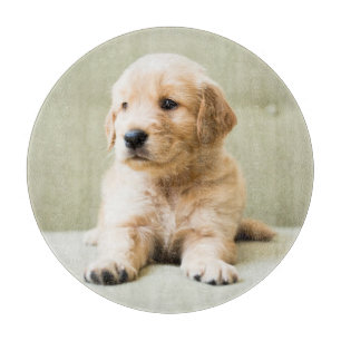 Niedliche Kleintiere   Golden Retriever Puppy Schneidebrett