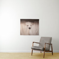 Niedliche Kleintiere | Golden Retriever Snuggg