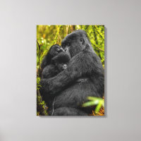 Niedliche Kleintiere | Gorilla & Baby