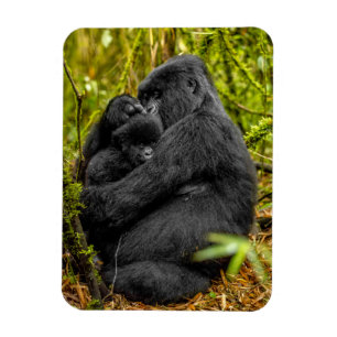 Niedliche Kleintiere   Gorilla & Baby Magnet