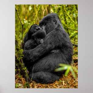 Niedliche Kleintiere   Gorilla & Baby Poster