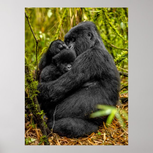 Niedliche Kleintiere | Gorilla & Baby Poster (Vorne)