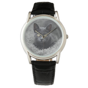Niedliche Kleintiere   Graue Katze Armbanduhr